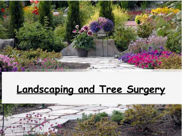 Landscaping and Tree Surgery