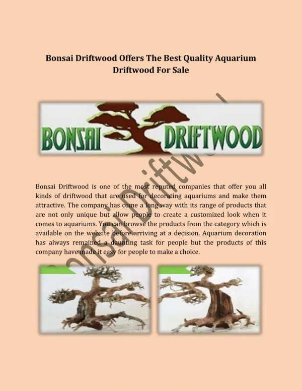 Bonsai Driftwood Offers The Best Quality Aquarium Driftwood For Sale