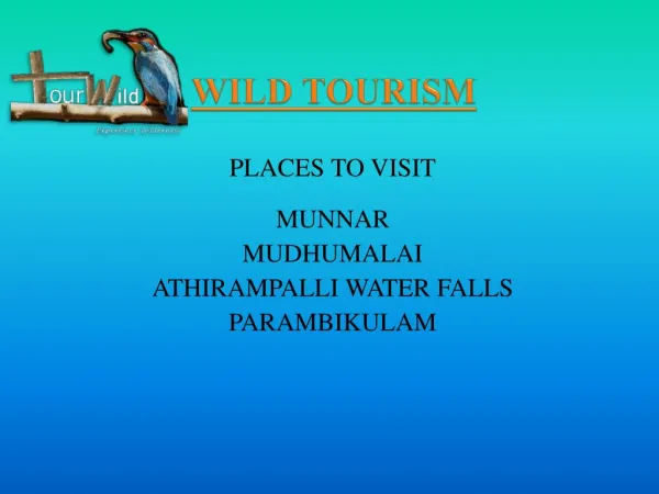 Wild tourism