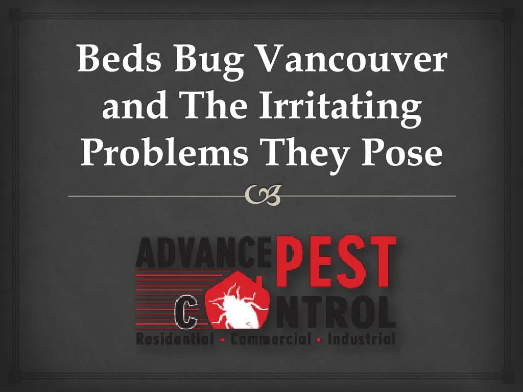 beds bug vancouver and the irritating problems they pose