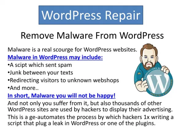 WordPress Repair - Repair and securing WordPress