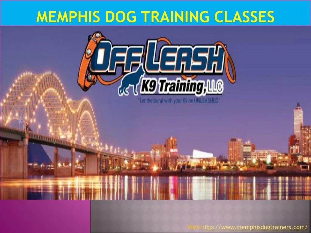 memphis dog training classes