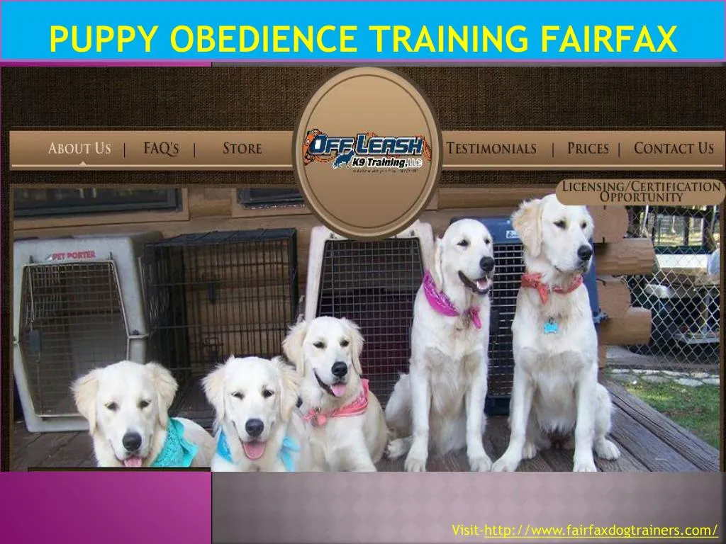 puppy obedience training fairfax