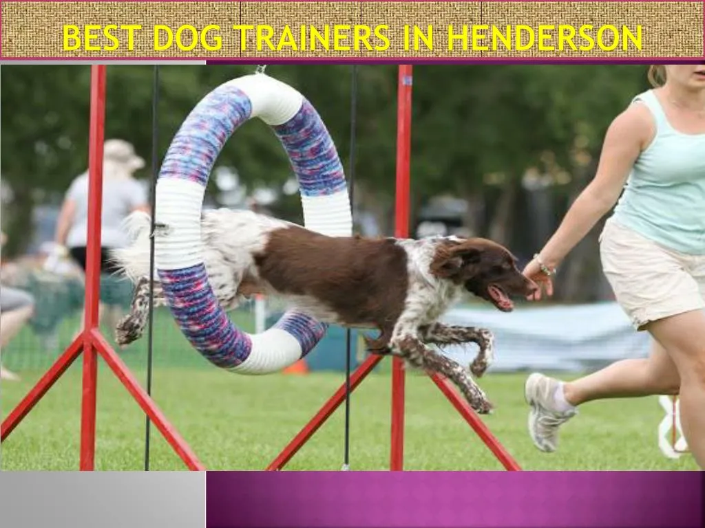 best dog trainers in henderson