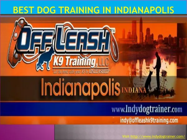 Best Dog Training in Indianapolis
