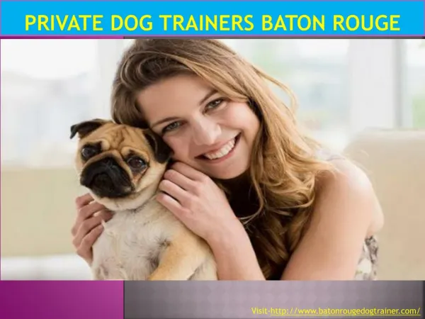 Private Dog Trainers Baton Rouge