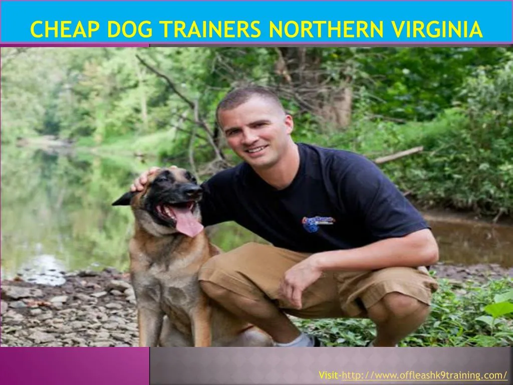 cheap dog trainers northern virginia