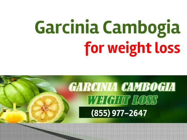 Garcinia Cambogia for Weight Loss, You Should Consider