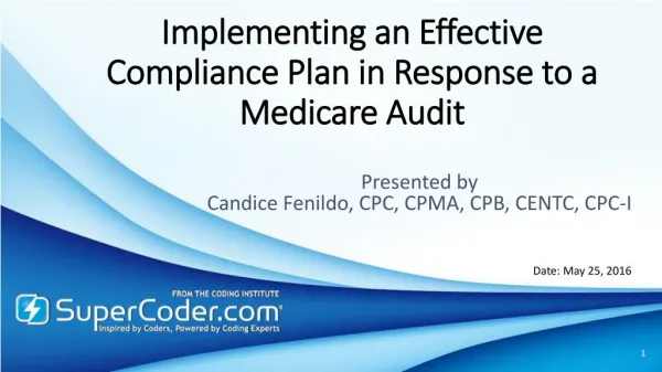 Implementing an Effective Compliance Plan in Response to a Medicare Audit