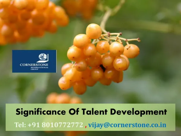 Significance Of Talent Development