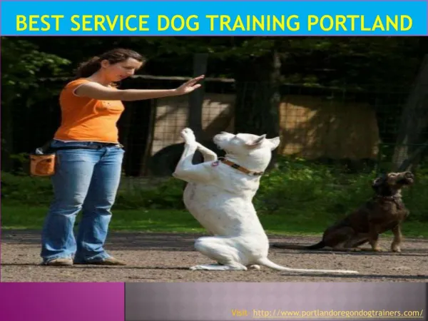 Best service dog training Portland
