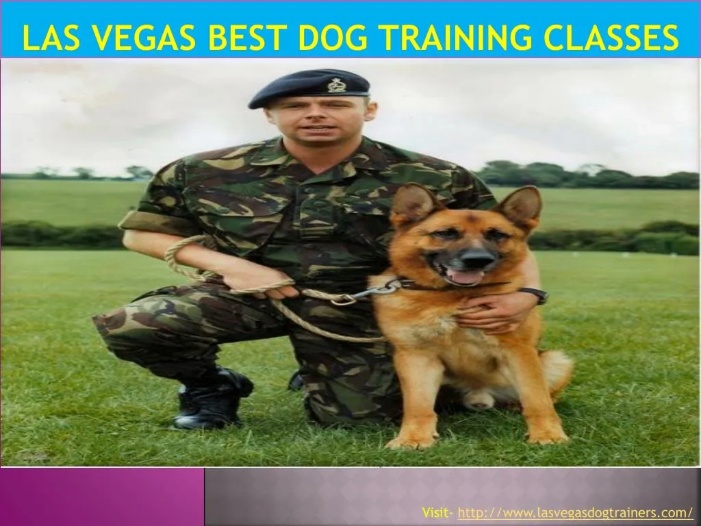 las vegas best dog training classes