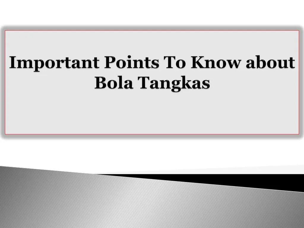 important points to know about bola tangkas