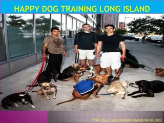 Happy dog training Long Island