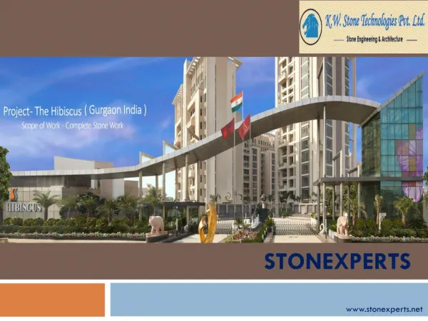Stone Consultancy- Stonexperts