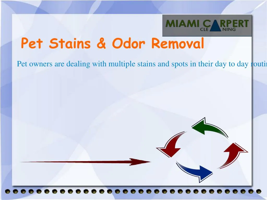 pet stains odor removal