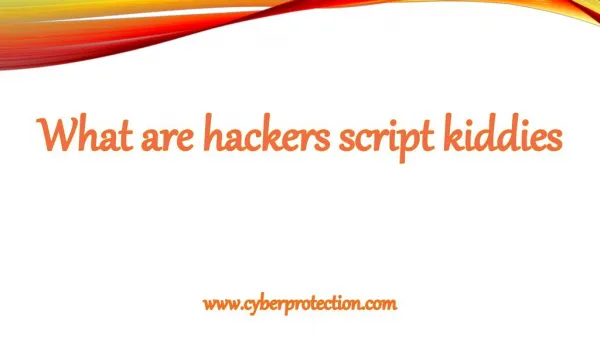 Cyber Security Tips: Hackers Script Kiddies