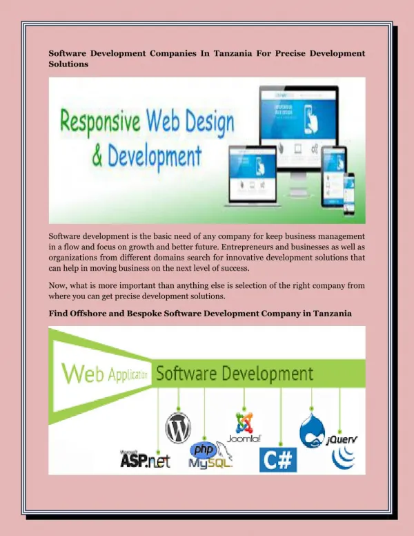 Software Development Companies In Tanzania For Precise Development Solutions