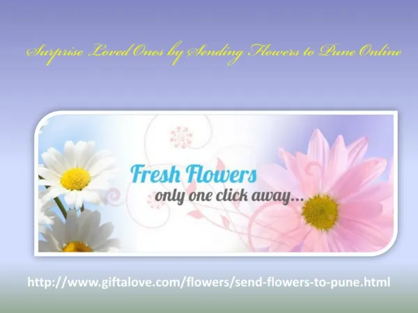 Surprise Loved Ones by Sending Flowers to Pune Online