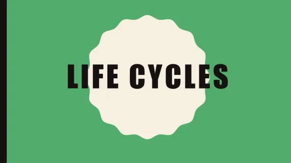 life cycles