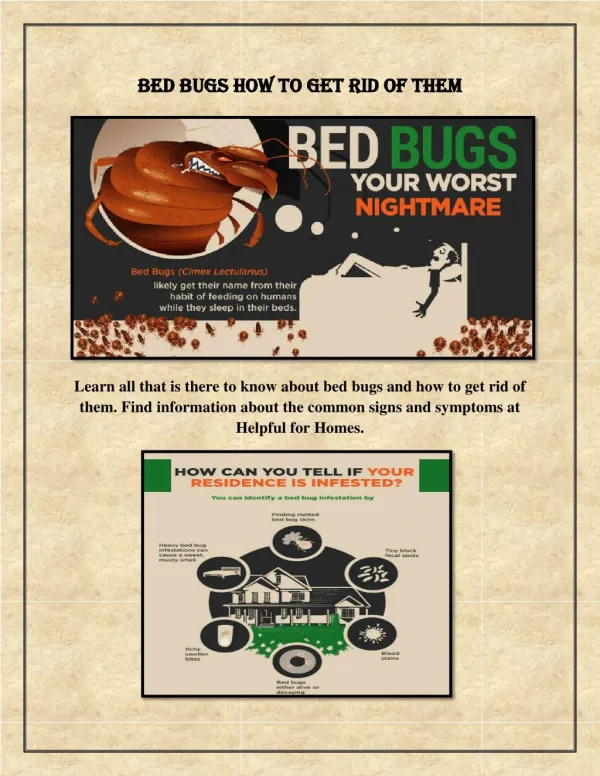 Best Way to Kill Bed Bugs
