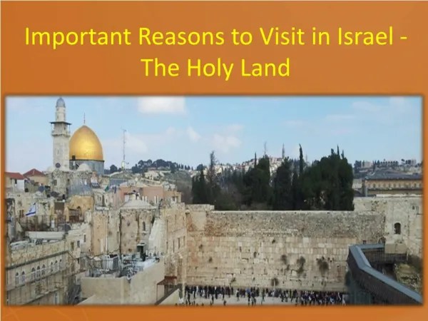 Important Reasons to Visit in Israel - The Holy Land