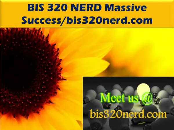 BIS 320 NERD Massive Success/bis320nerd.com