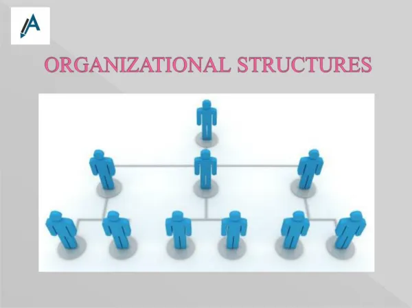Report on Organization Structure
