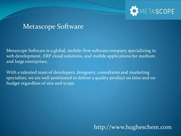 Metascope Software
