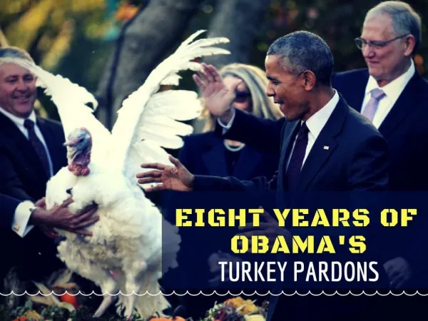 Eight years of Obama's turkey pardons