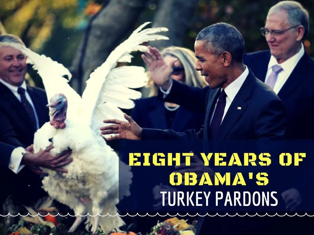 eight years of obama s turkey pardons