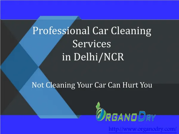 Professional Car Cleaning Services in Delhi/NCR