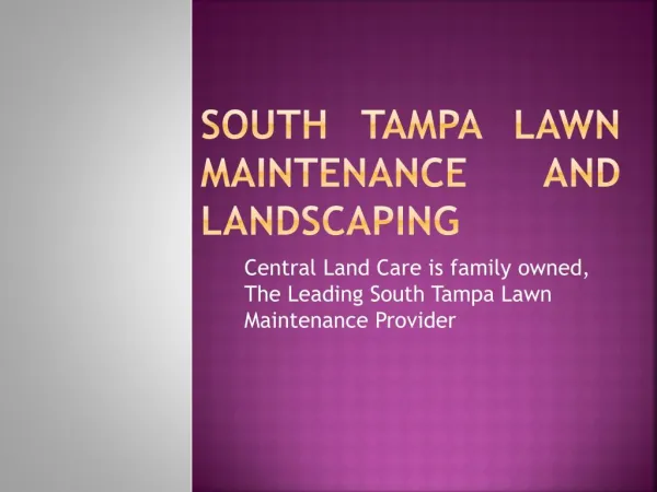 South Tampa landscaping & landscape lighting service