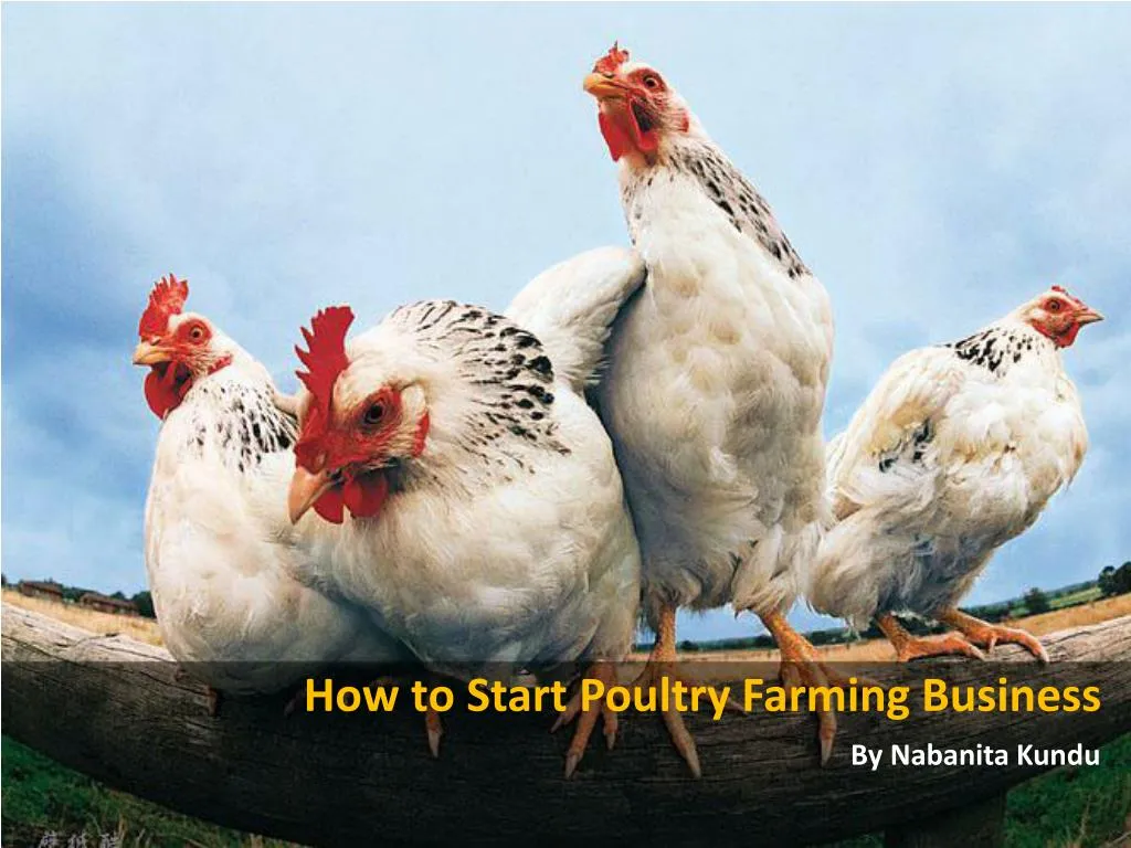 how to start poultry farming business