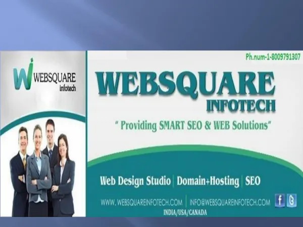 Web Development SEO Services Company in USA-Websquare Infotech,call on 1-8009791307