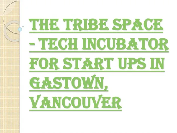 The Tribe Space - Best Tech Incubator for Start ups