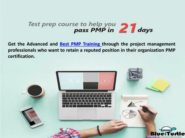 Blueiturtle Best PMP Training Centre for Everyone