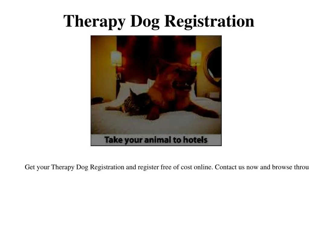 therapy dog registration