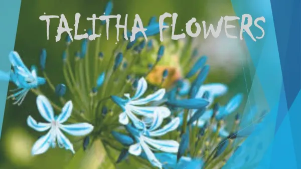 TALITHA FLOWERS SAS