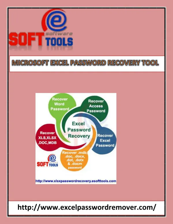 Microsoft Excel Password Recovery Tool