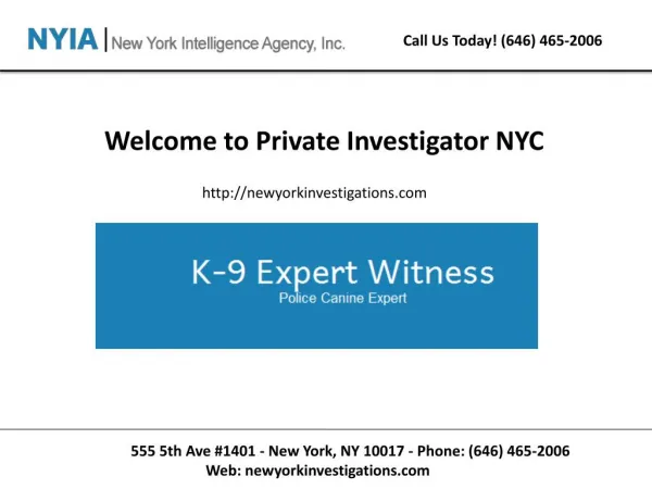 New york private investigation
