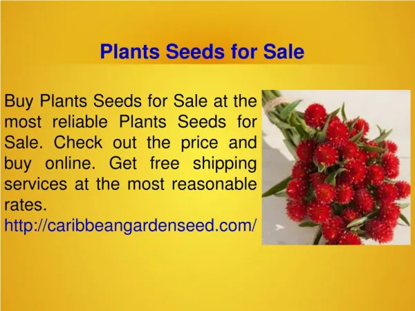Non-GMO Seeds For Sale