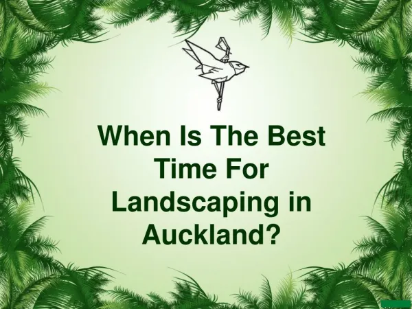 When Is The Best Time For Landscaping in Auckland