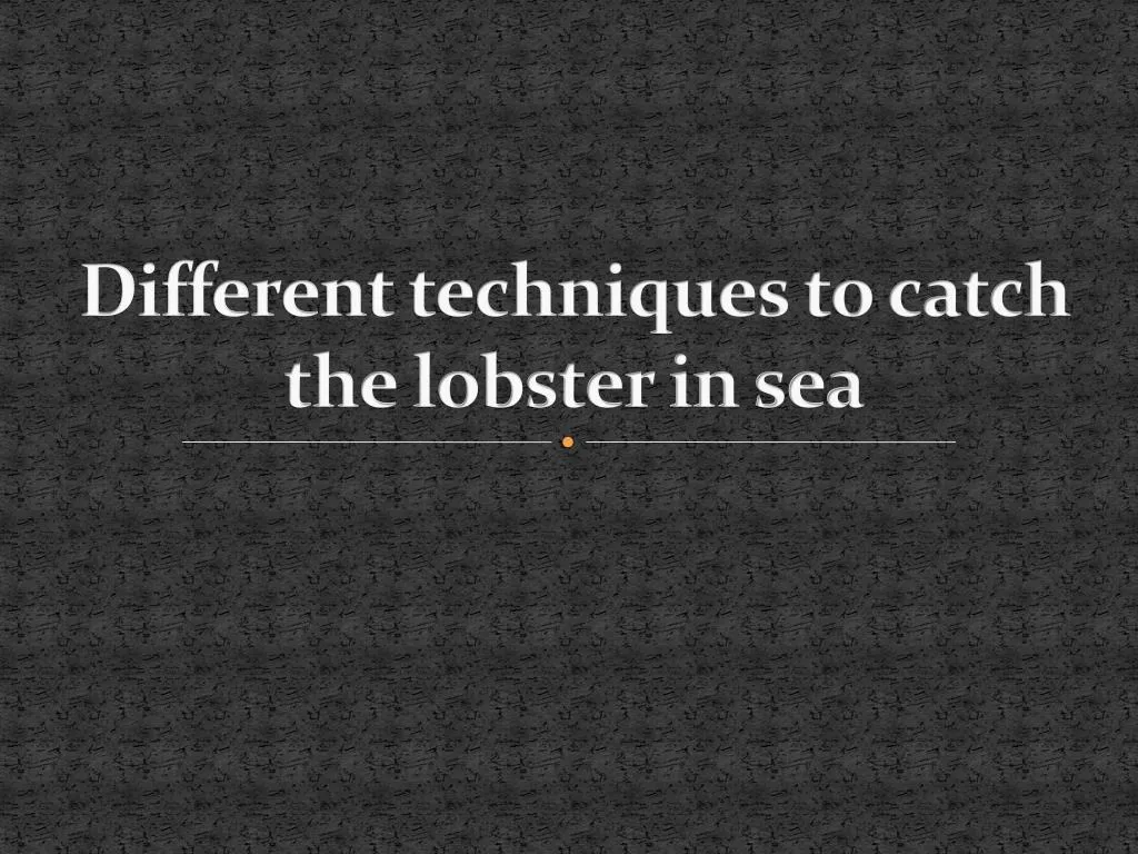 different techniques to catch the lobster in sea