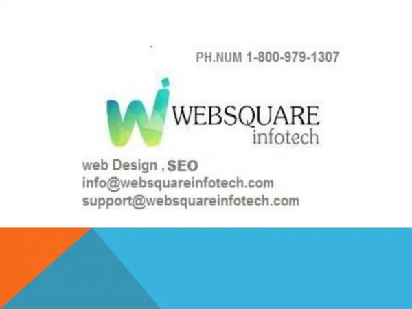 Web Development SEO Services Company in USA-Websquare Infotech,call on 1-8009791307