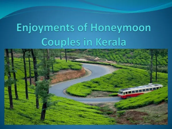 Enjoyments of Honeymoon Couples in Kerala
