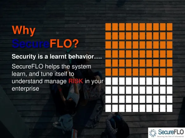 Why Secure FLO