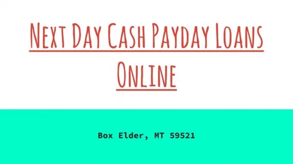 Next Day Cash Payday Loans Online
