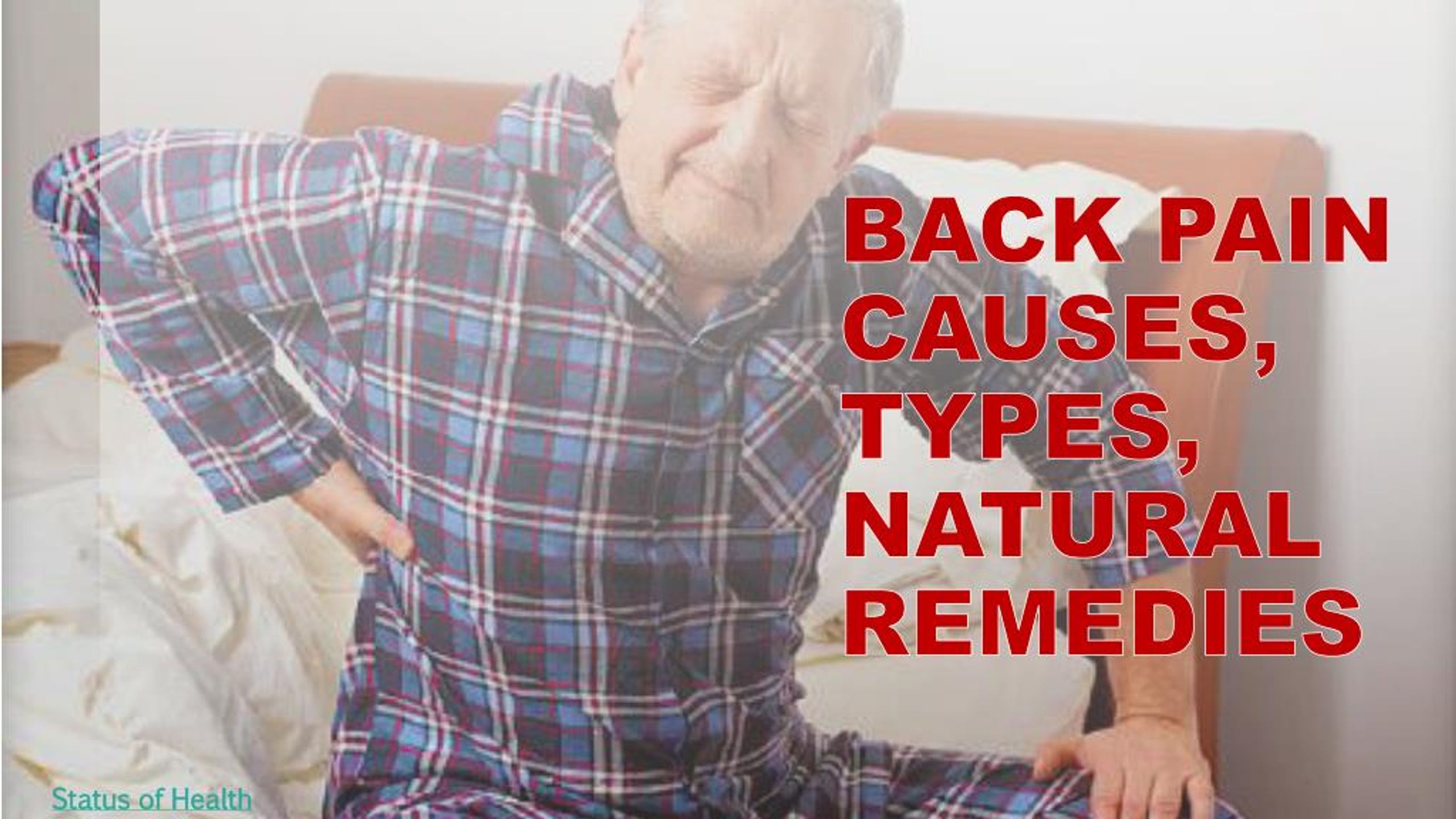 PPT - Back Pain – Causes, Types and Natural Remedies PowerPoint ...