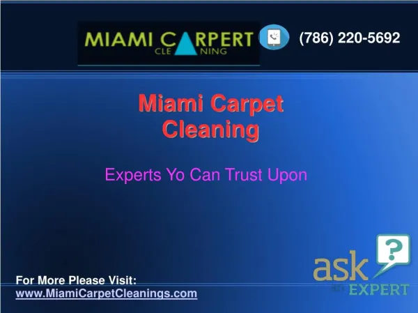 Professional Carpet Cleaning Service,